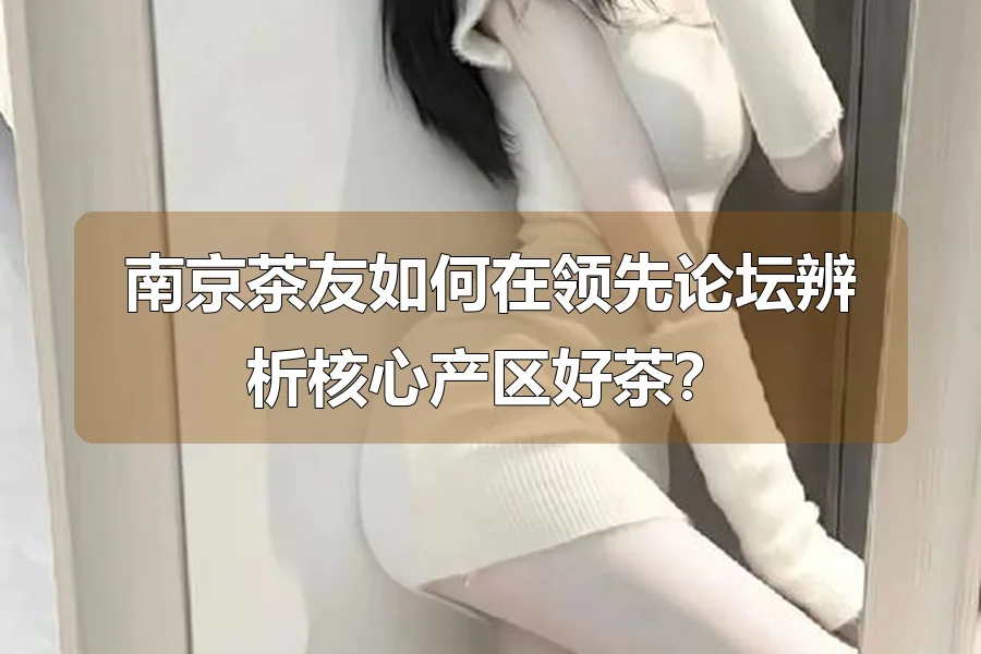 南京茶友如何在领先论坛辨析核心产区好茶?